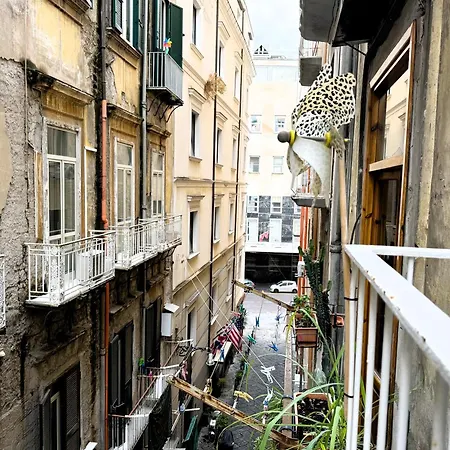 Profumo Storico בית הארחה 4*